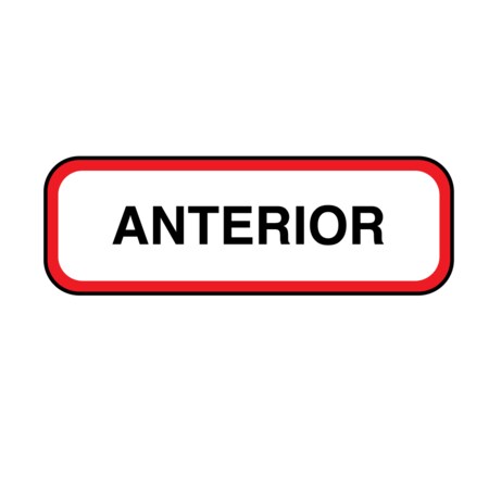 Nevs Position Labels - Anterior 1/2" x 1-1/2" White w/Red & Black XP-070